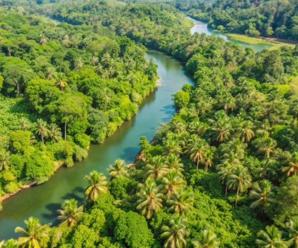 Kottayam
